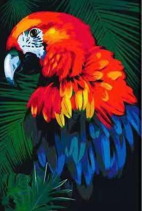 Malowanie po numerach Czerwony Papuga z Niebieskimi Odcieniami - Malowanie po numerach ekspert