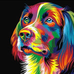 Malowanie po numerach Labrador - Malowanie po numerach ekspert