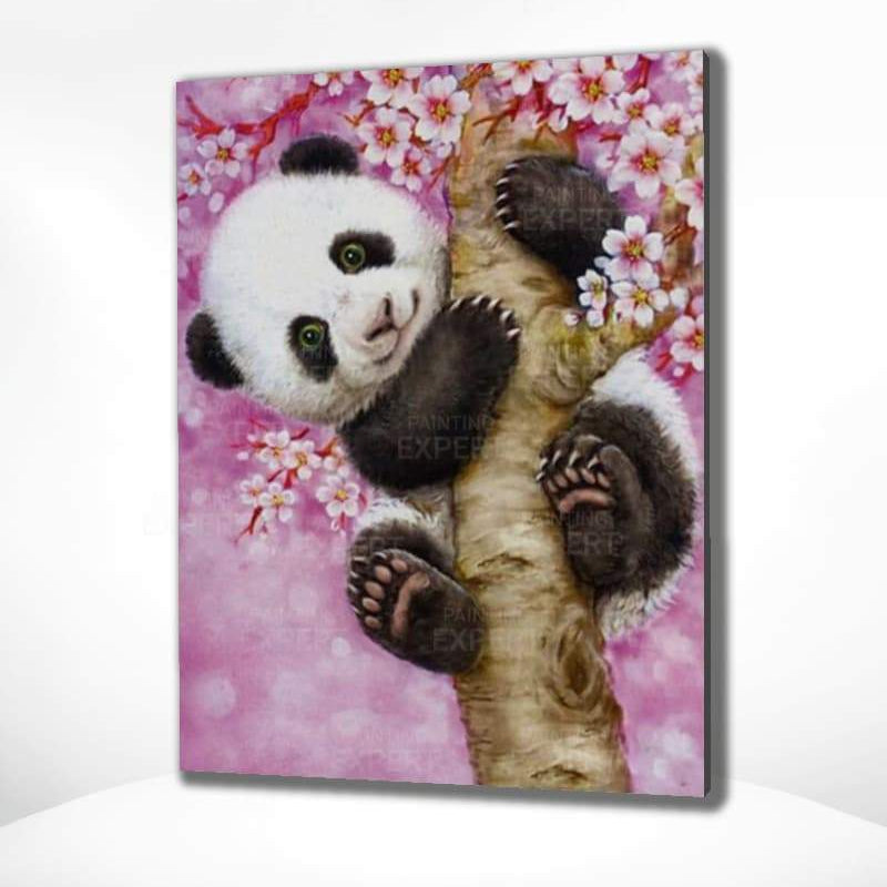 Malowanie po numerach Panda - Malowanie po numerach ekspert