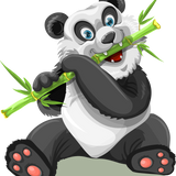 Malowanie po numerach Panda z bambusem - Malowanie po numerach ekspert
