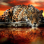 Malowanie po numerach Tygrys o Zachodzie Słońca - Malowanie po numerach ekspert
