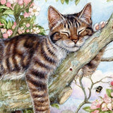 Malowanie po numerach Śpiący kot na drzewie - Malowanie po numerach ekspert