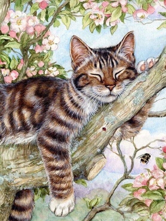 Malowanie po numerach Śpiący kot na drzewie - Malowanie po numerach ekspert