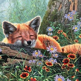Malowanie po numerach Śpiący lis - Malowanie po numerach ekspert